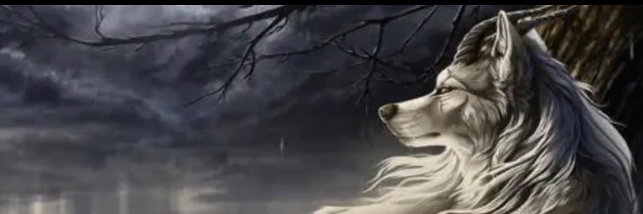 ashfr777's profile banner image