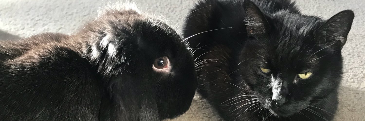 ZehnerMackenzie's profile banner image