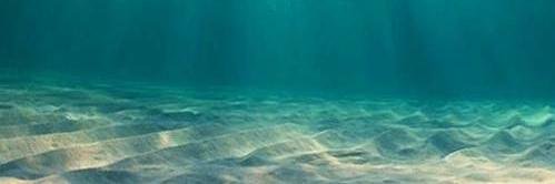 InkedShark's profile banner image