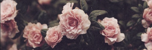 fa2oomi14's profile banner image