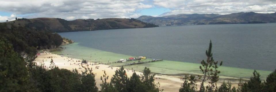 Andrea Navas Calixto banner