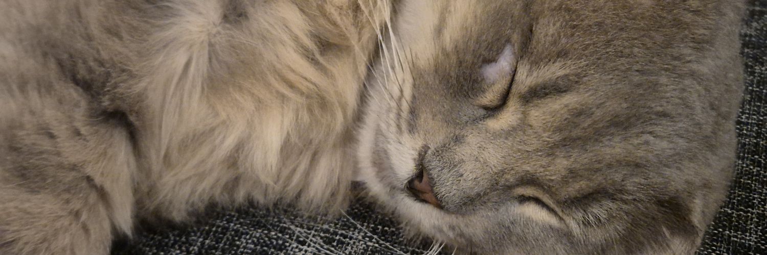 Roti Bakar Palbapang banner