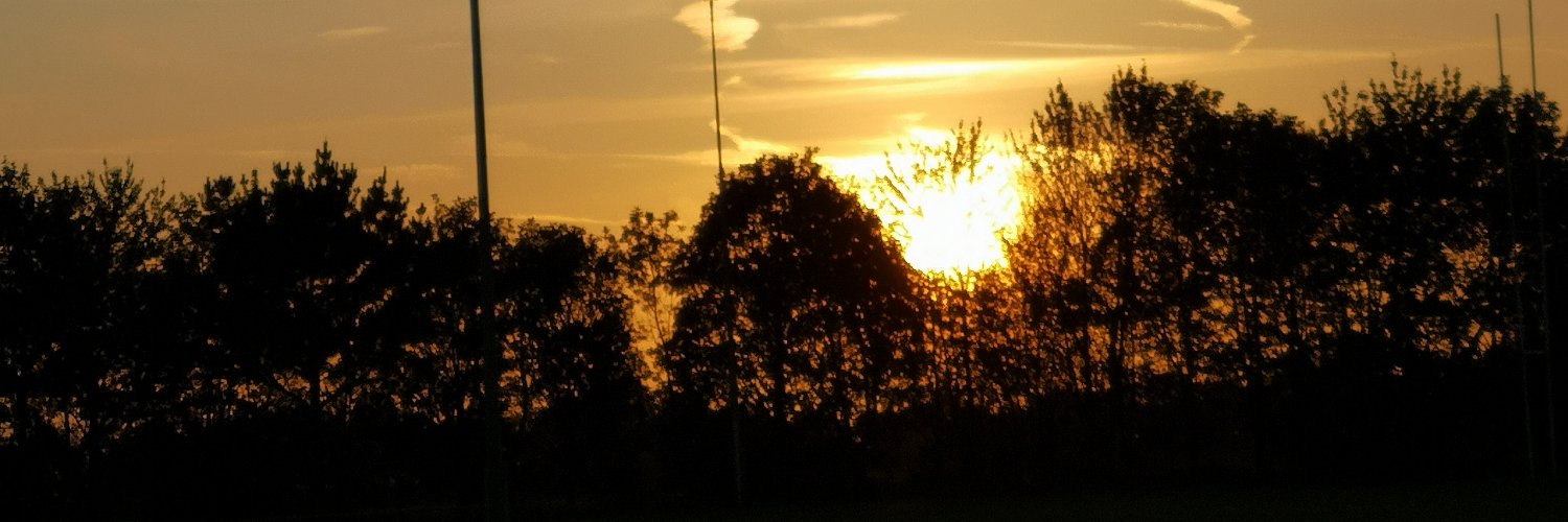 zubradevine's profile banner image