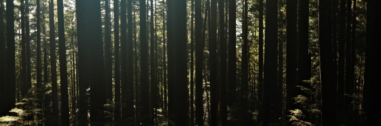 lorecrafting's profile banner image