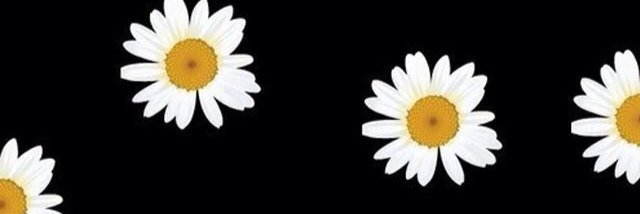 Stephanedhv's profile banner image