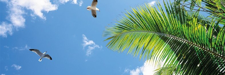 kelley fitzgerald banner