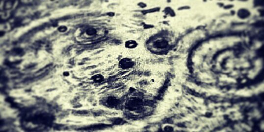 germandsh's profile banner image