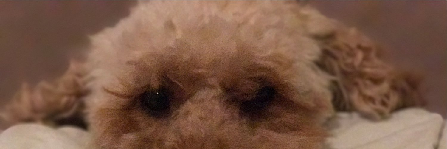 Rob_1232's profile banner image