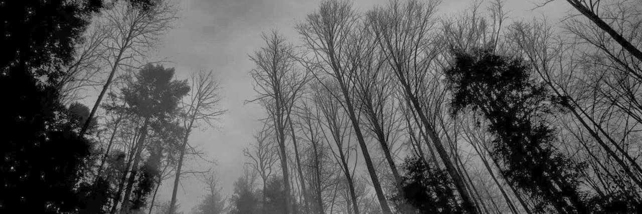 BRENTON. banner