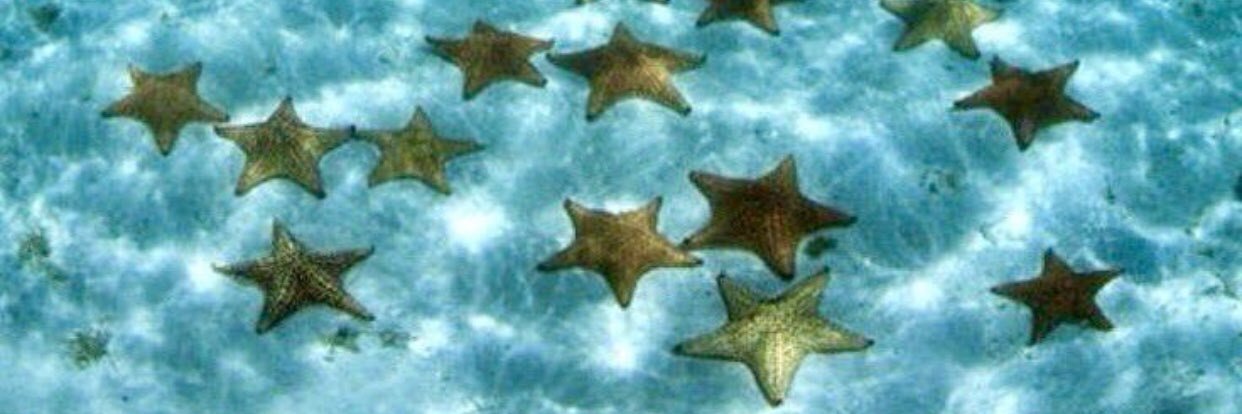 spare_731's profile banner image