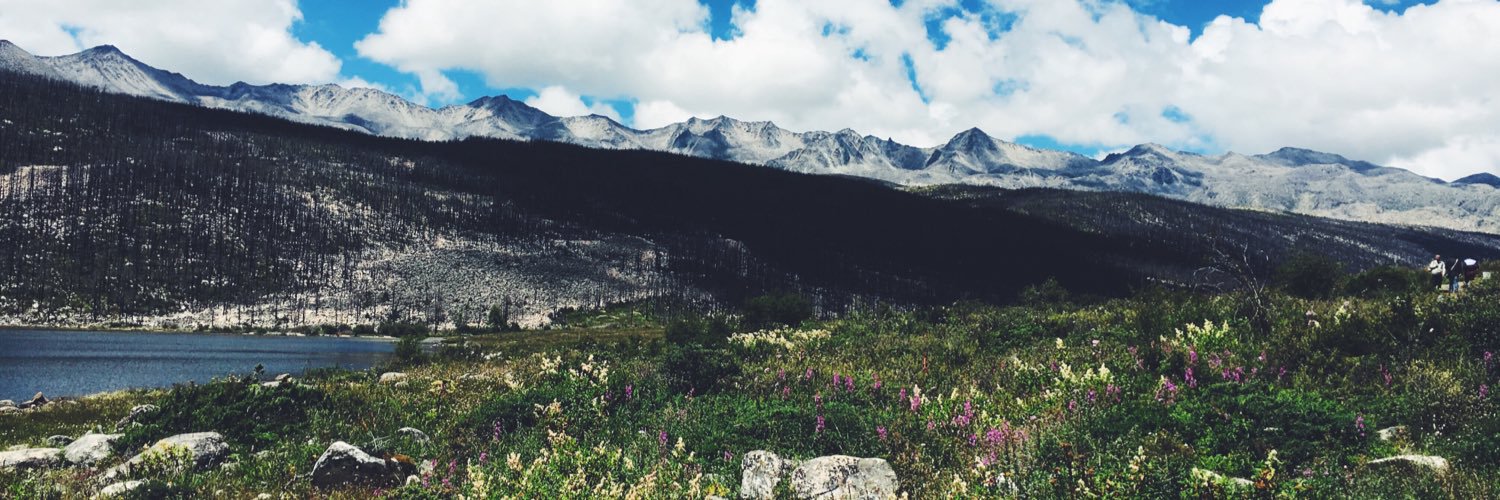 jmaereed's profile banner image