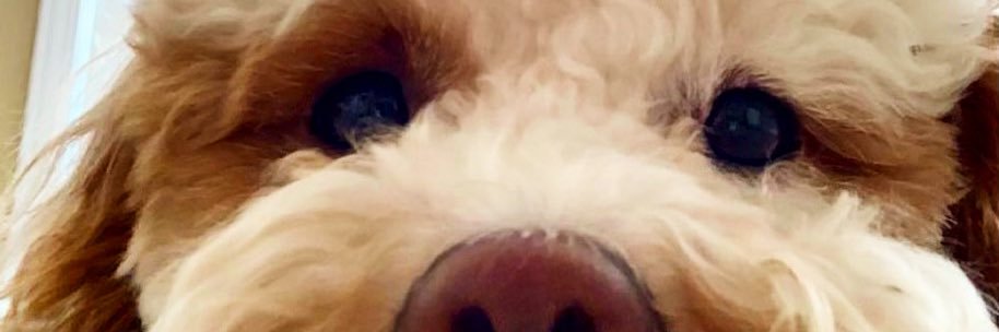 MrsSidolisClass's profile banner image
