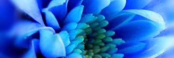 mapimaya's profile banner image