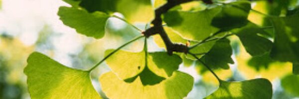 MrsBCubed Profile Banner