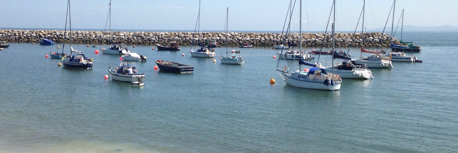 Chris Roberts banner