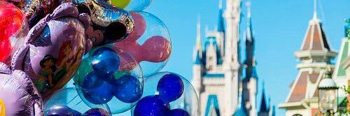 MandiMcPotter's profile banner image
