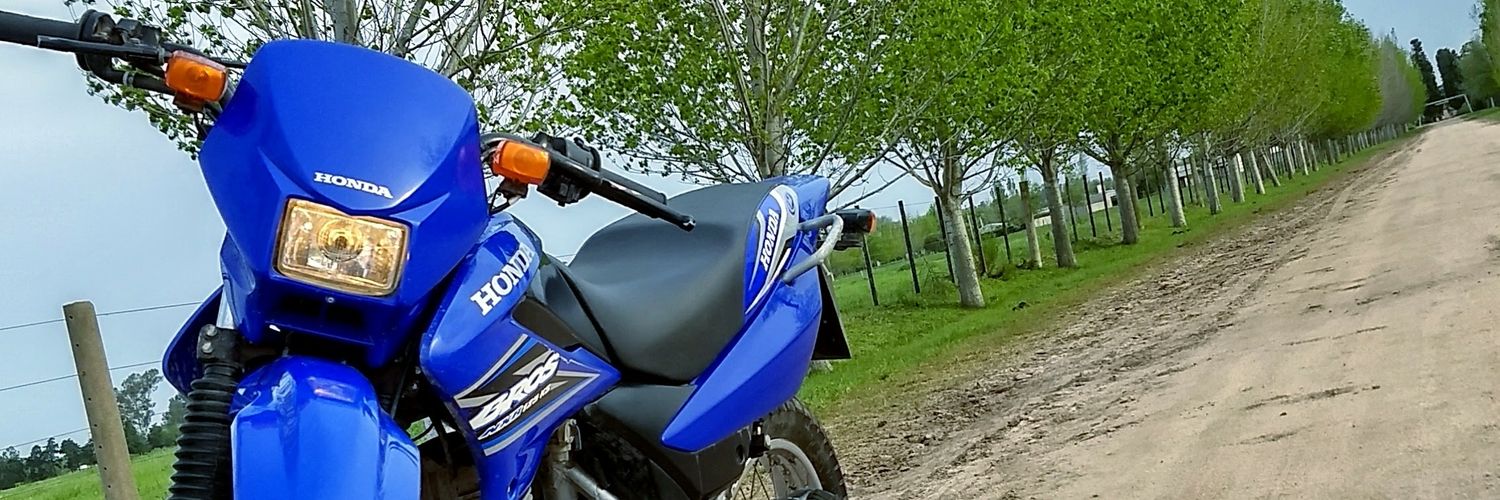Rocaneloo's profile banner image
