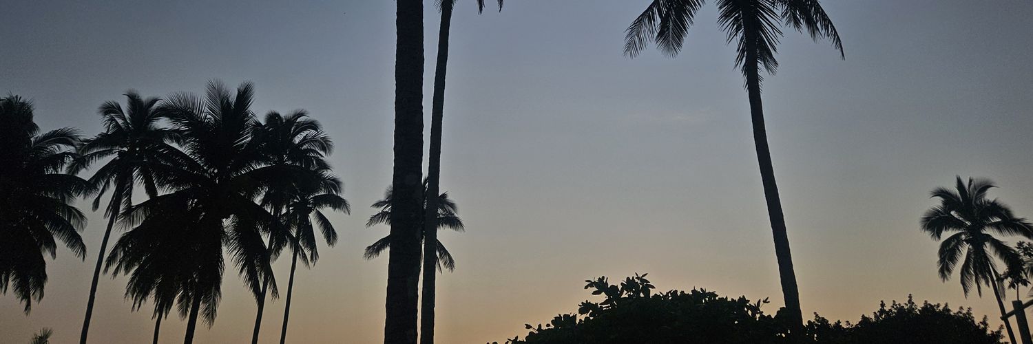 alr_915's profile banner image
