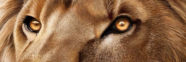 Junuel_Mosles's profile banner image