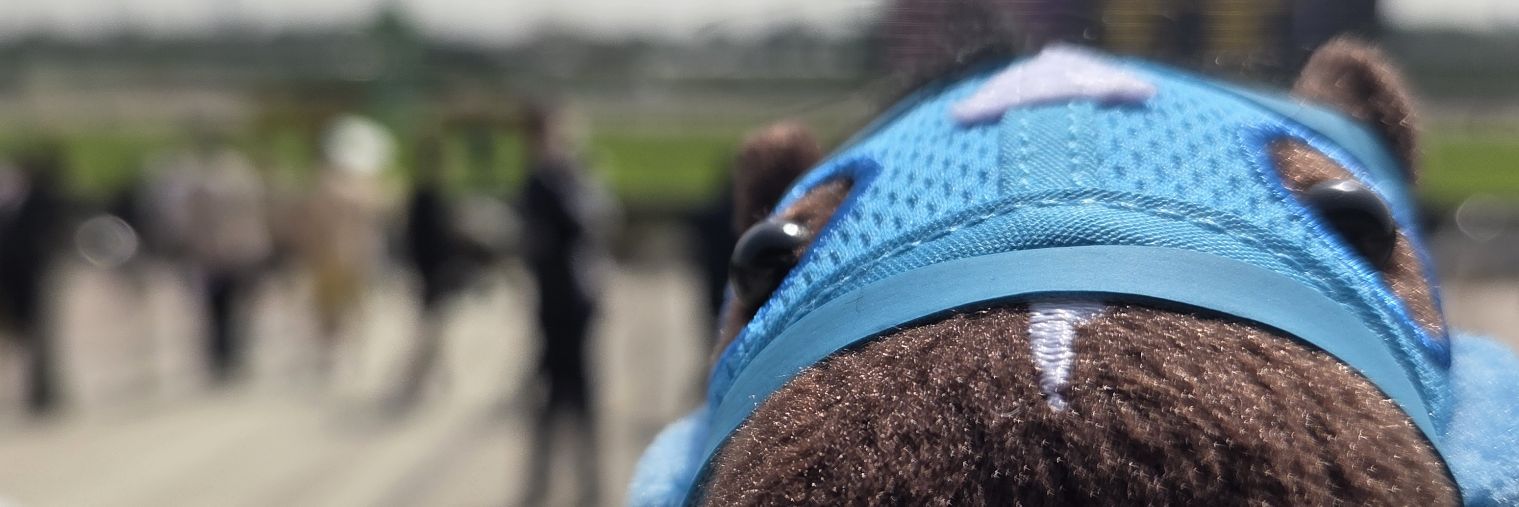 Hiro_Tuna's profile banner image