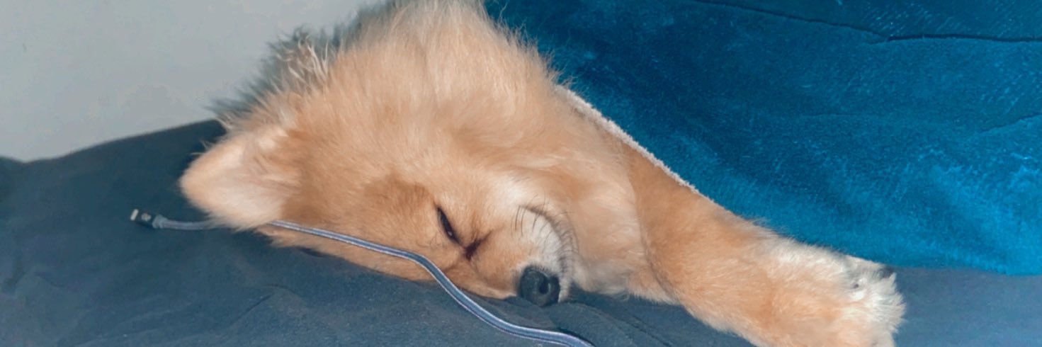 brvaroli's profile banner image