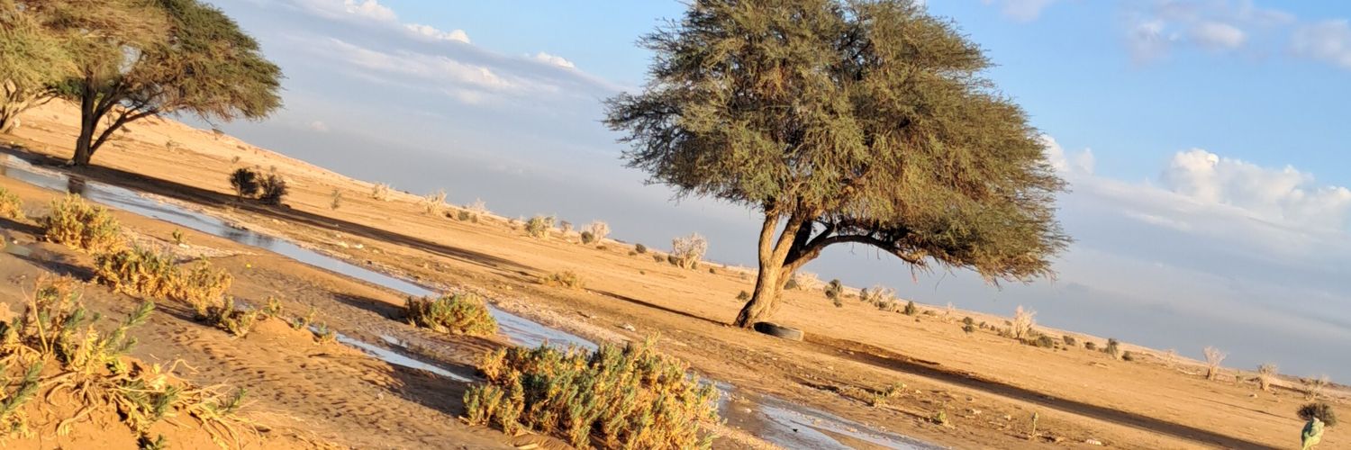 حفظك الله ياوطن banner