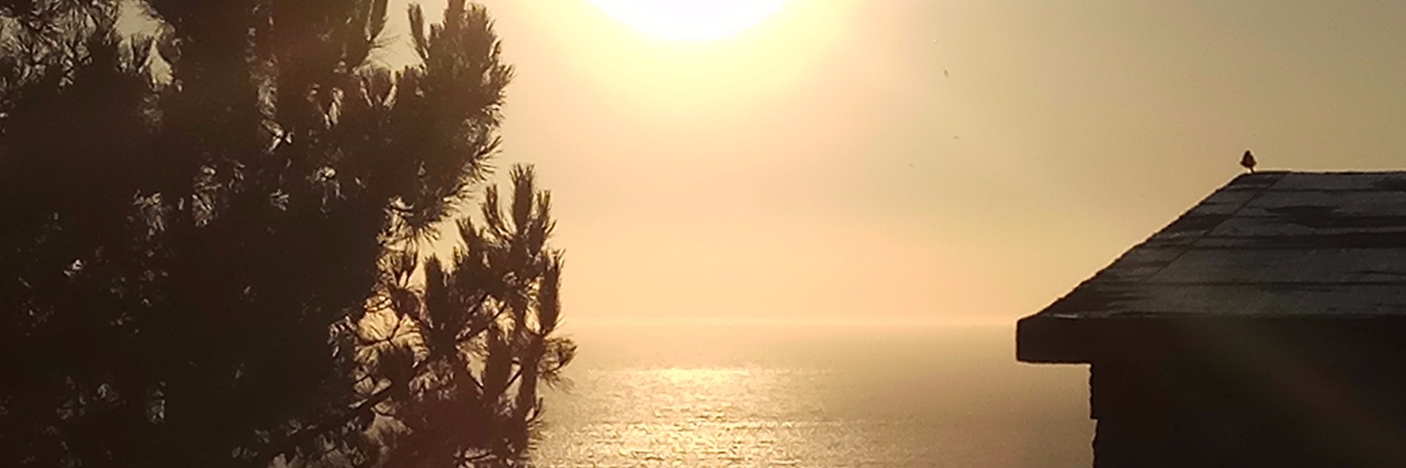 felixtomillo's profile banner image