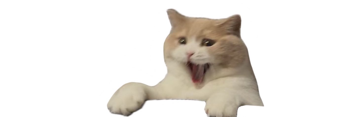 sharksleepy's profile banner image