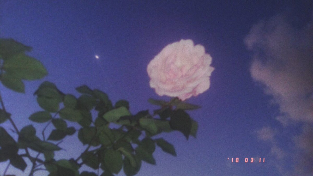 JlSOONS's profile banner image