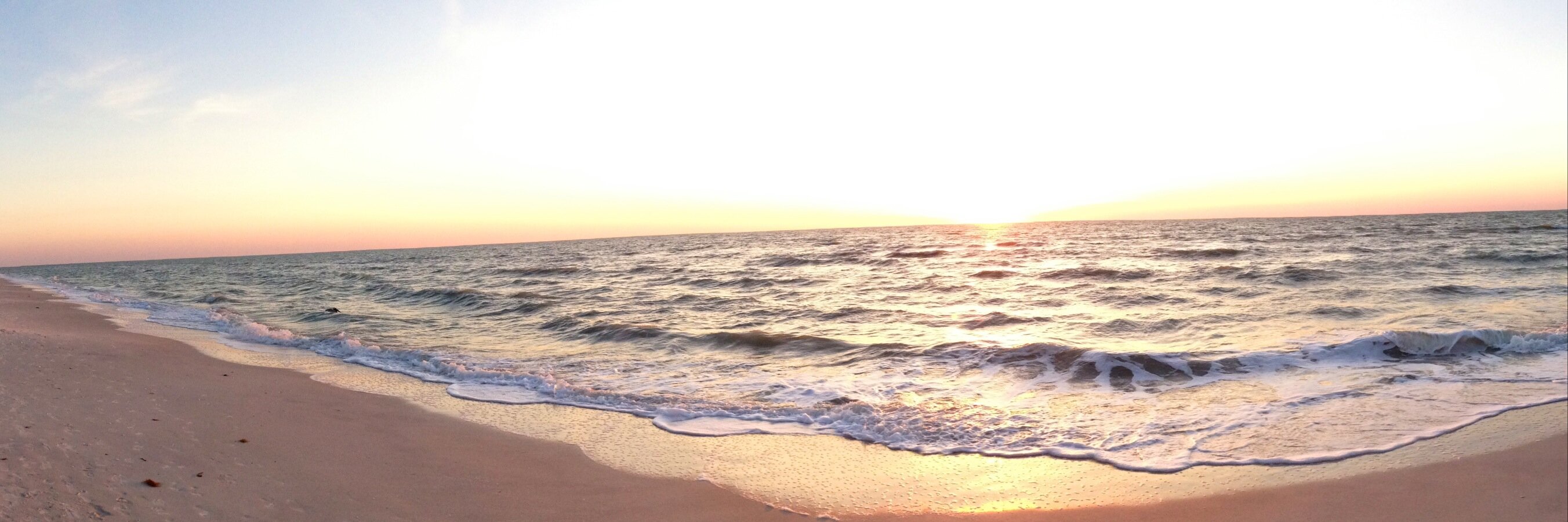 marqueemark88's profile banner image