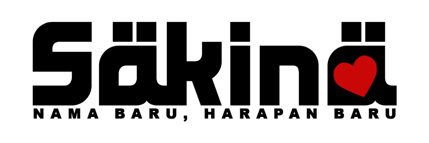 SakinaMusik's profile banner image