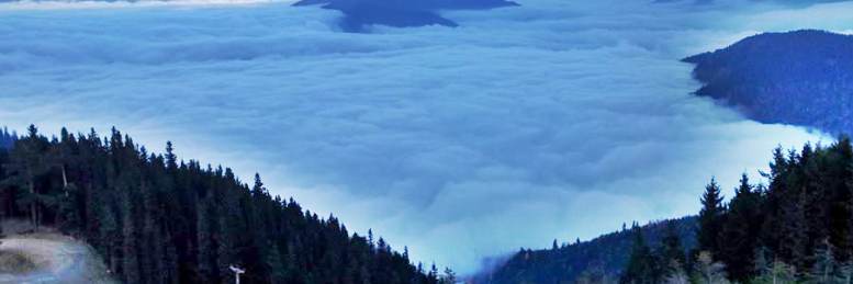 akisatwt's profile banner image
