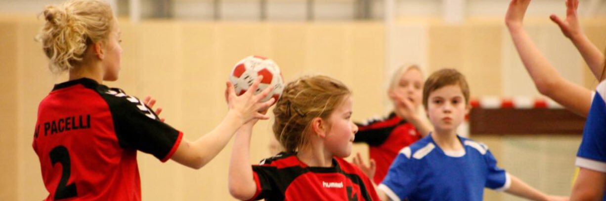 PacelliHandbal's profile banner image