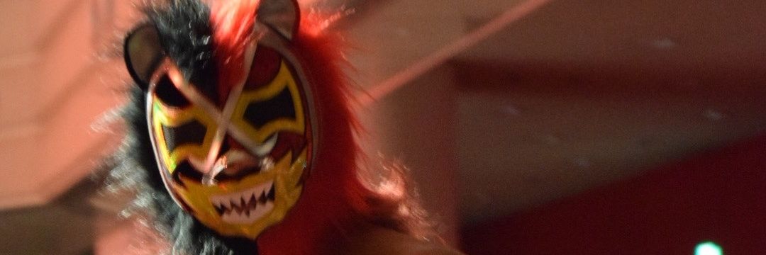 Kapekochan's profile banner image