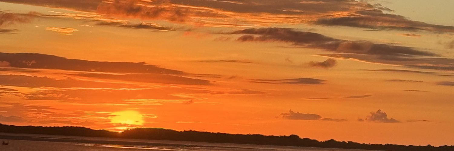 Clarissa Baldotto banner