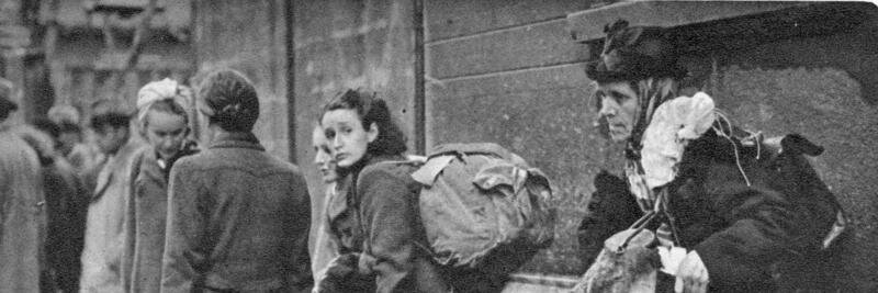 freeaachen44's profile banner image