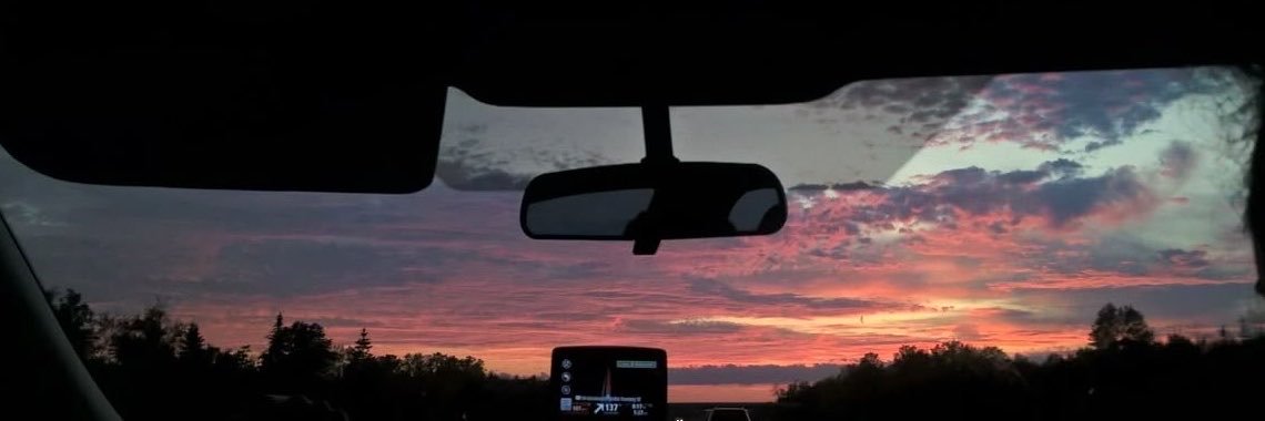 LorenSteinc's profile banner image