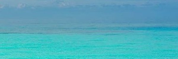 arvee92 Profile Banner