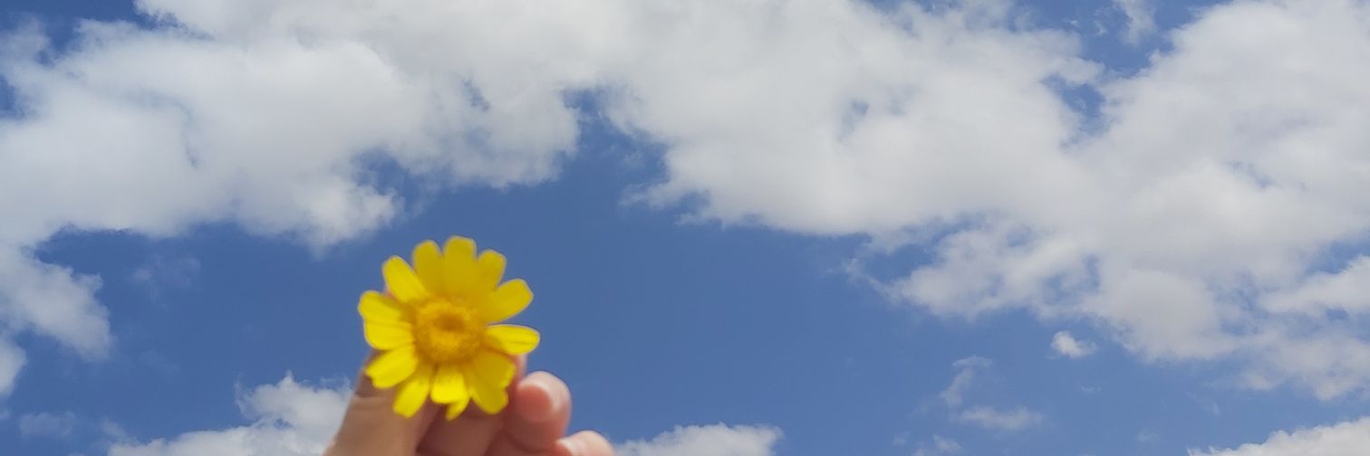 Rozamalassi's profile banner image