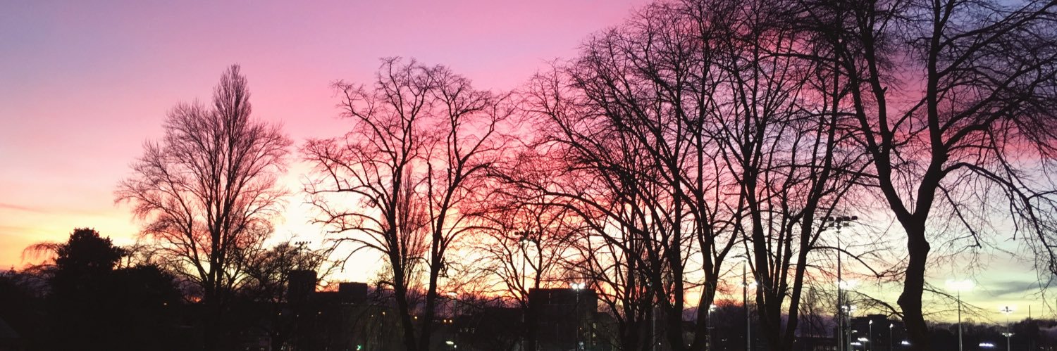 Flo_Stone_'s profile banner image