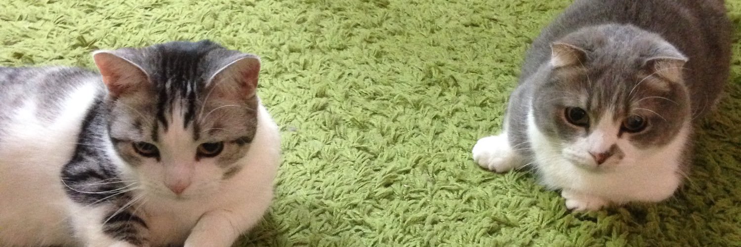 Munchi_Cat's profile banner image