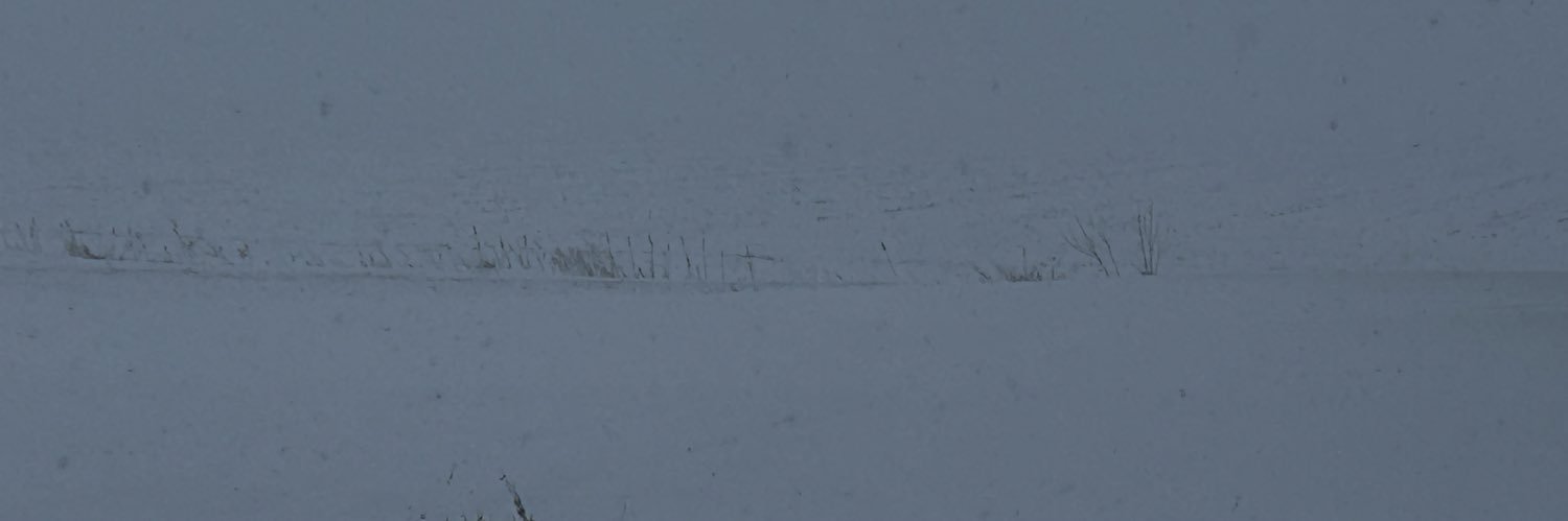 Laforgeprof1's profile banner image