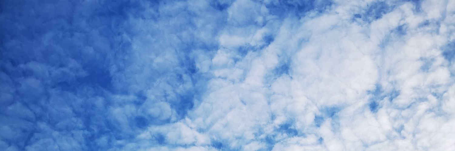 dariushiew's profile banner image