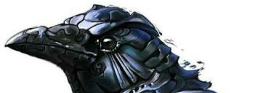 egemenmutludm's profile banner image