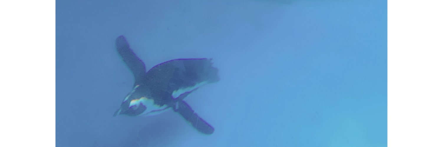 exryoryu's profile banner image