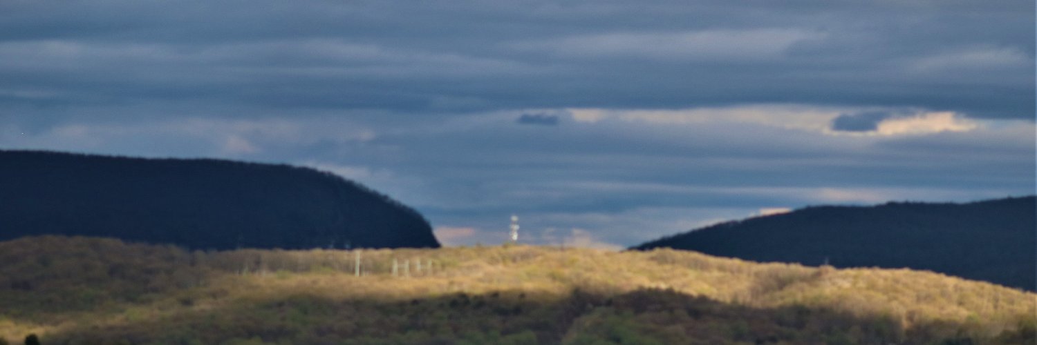 auntkimstaples's profile banner image