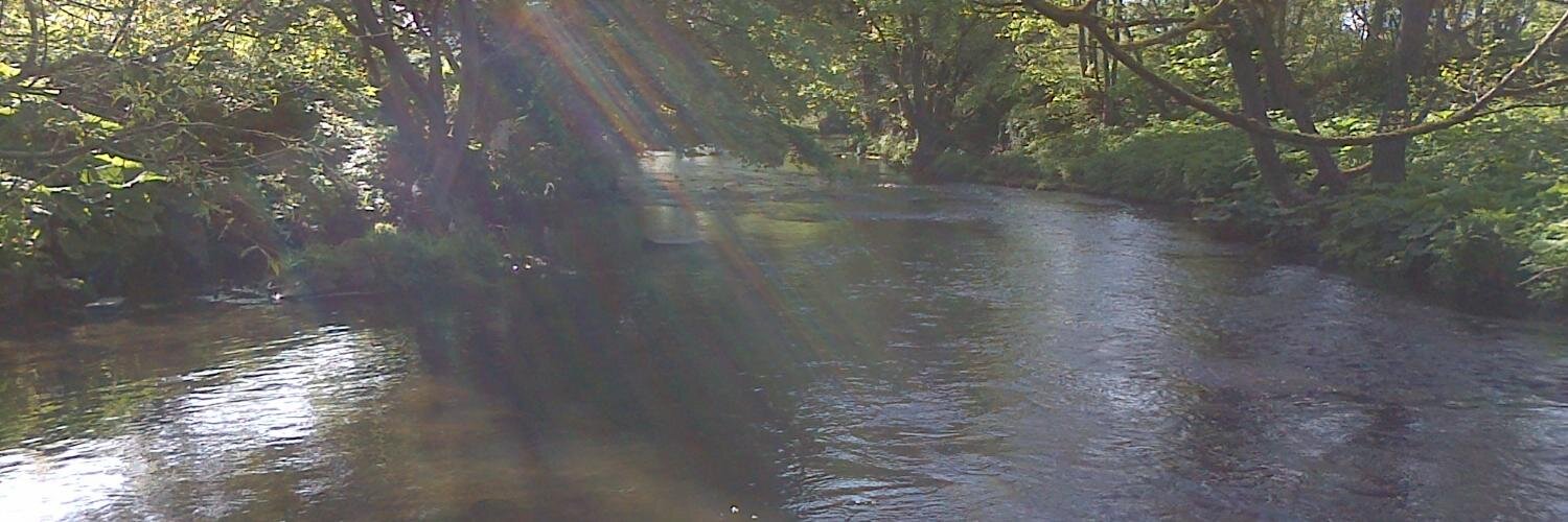 Andrew Millard banner