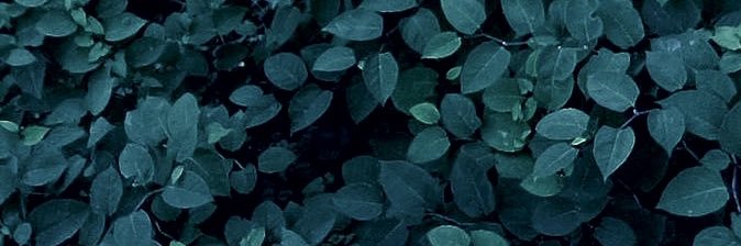 material_dream's profile banner image