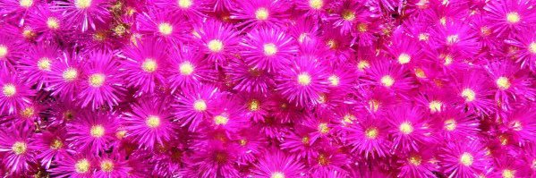 anrosys2's profile banner image
