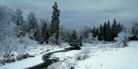 victorsd7's profile banner image